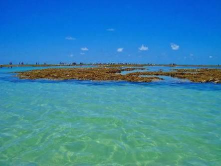 Palm Village - O Melhor De Cupe E Porto Порту-де-Галиньяш Экстерьер фото